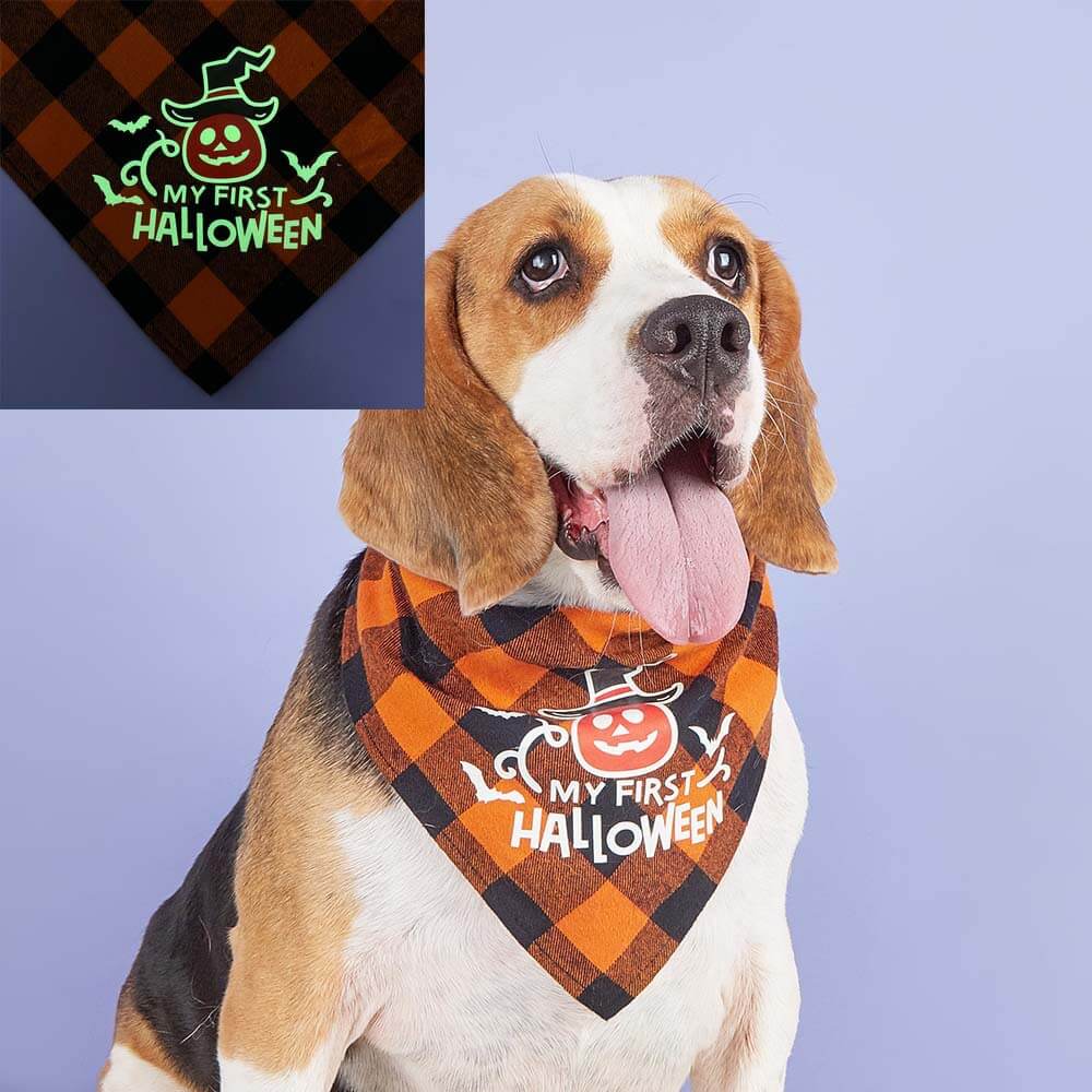 Bufanda luminosa triangular con calavera de calabaza para mascotas | Babero para perros festivo y brillante