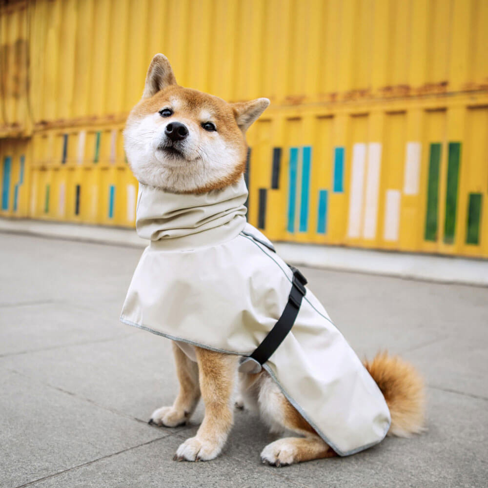 Chubasquero impermeable amarillo para perros con capucha: mantenga a su perro seco y cómodo