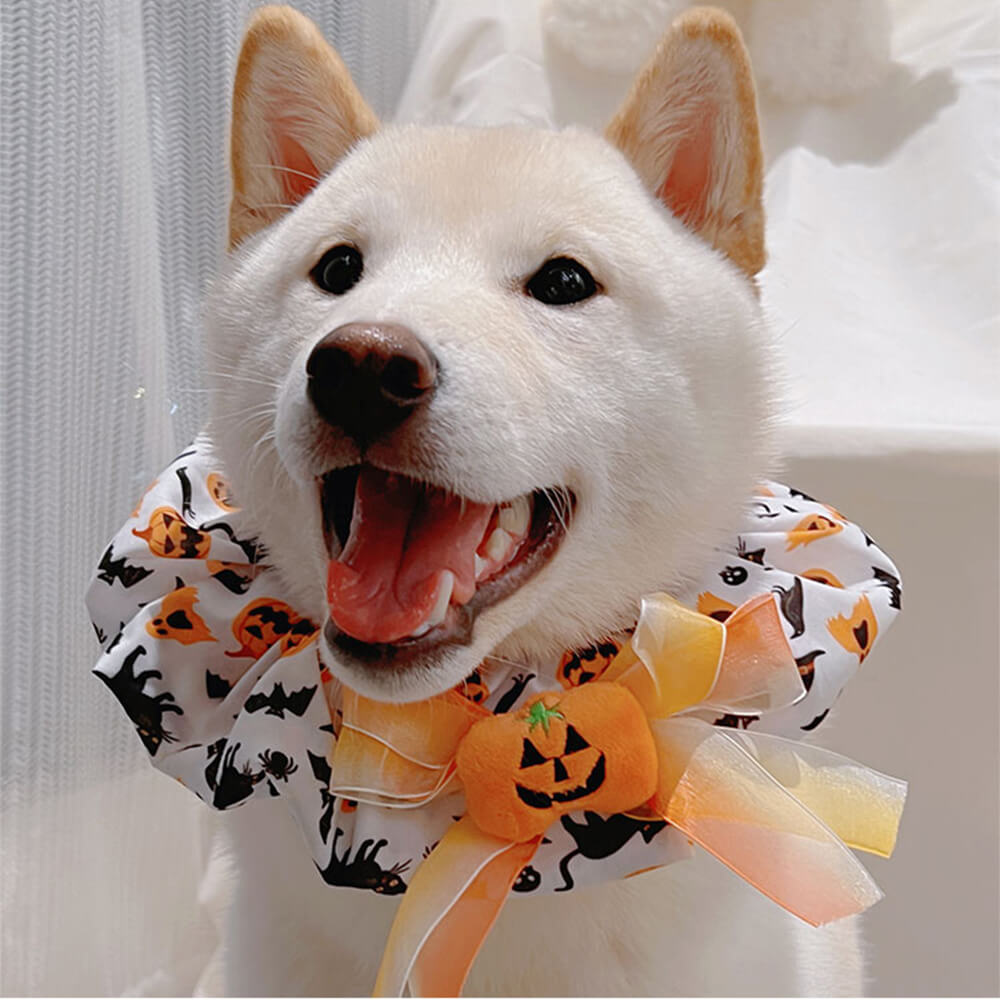 Pañuelo lindo del perro de Halloween con volantes de calabaza Pañuelo