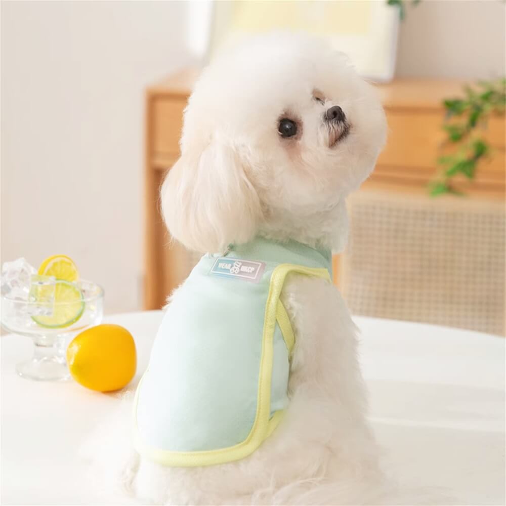 Chaleco con arnés para perros en colores pastel transpirable: cómodo y elegante para el uso diario