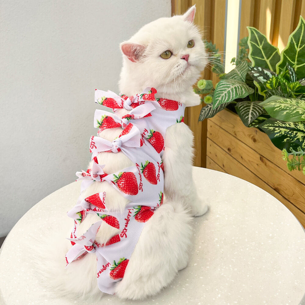 Vestido de gato con lazo en la espalda: elegante y adorable atuendo para mascotas