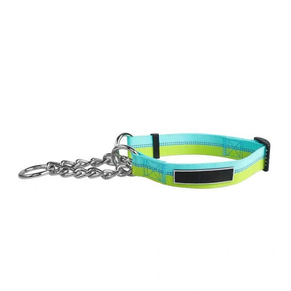 Collar colorido con correa para perros - Nylon de alta resistencia