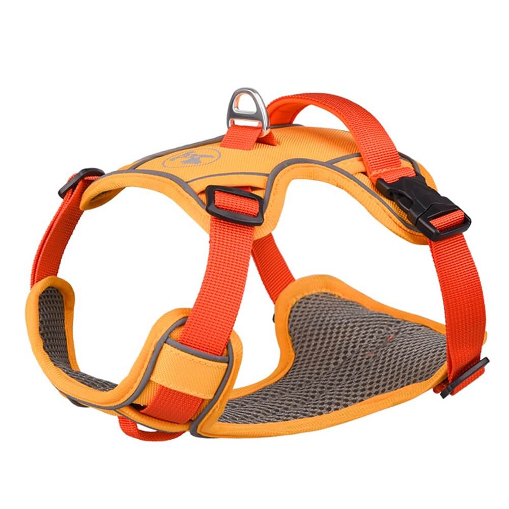 Contrast Color Explosion-Proof Dog Leash and Reflective Vest Harness