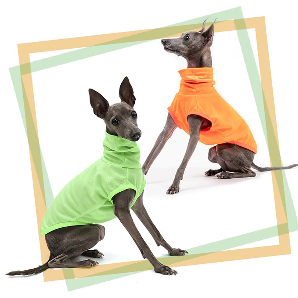 High-Visibility Lightweight Dog Turtleneck - Bright and Breathable for Outdoor Adventures