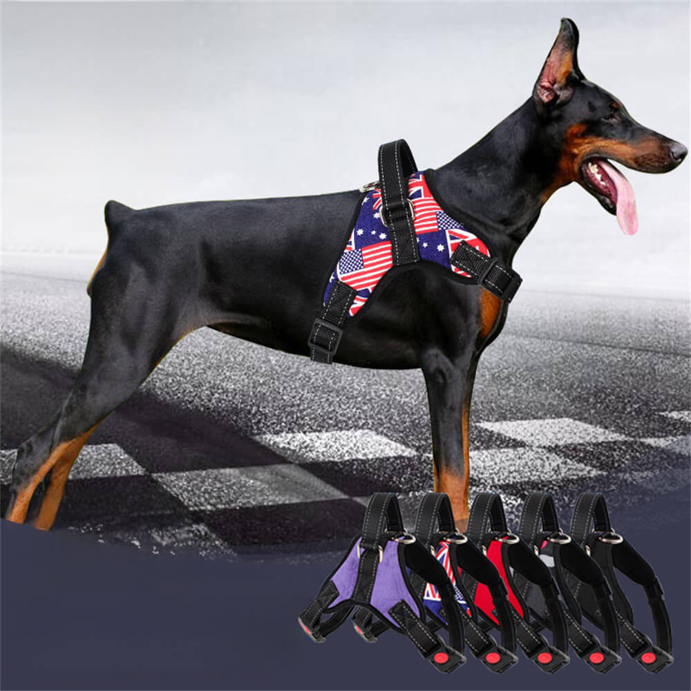 Union Jack Dog Harness with Traction Rope – Stylish and Functional Walking Gea