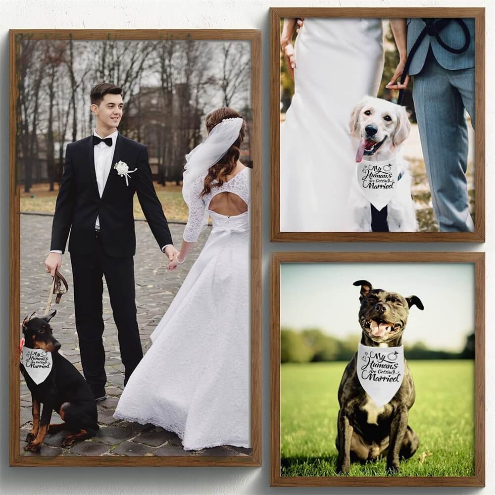 Accesorios para perros y gatos, Baberos de boda, pañuelo triangular para la cabeza