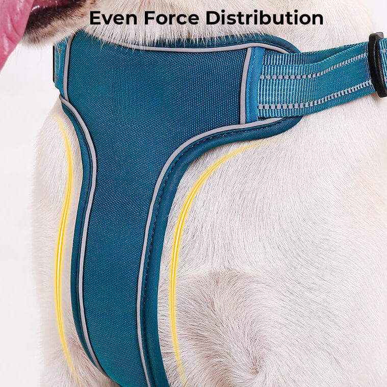 Adjustable Anti-Pull Breathable Dog Harness with Hands-Free Leash