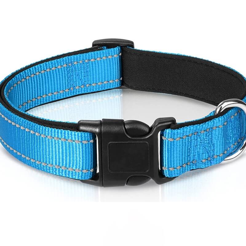 Adjustable Reflective Safety Nylon Dog Collar