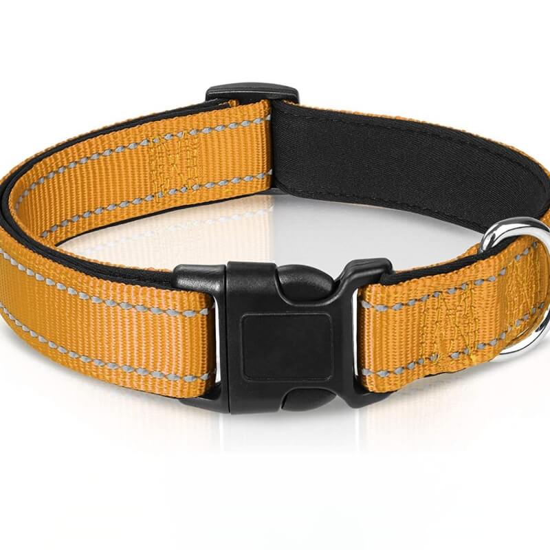 Adjustable Reflective Safety Nylon Dog Collar