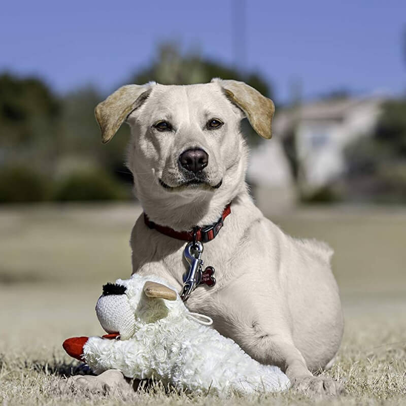 Juguete interactivo para perros de juguete con chirriador de cordero de peluche