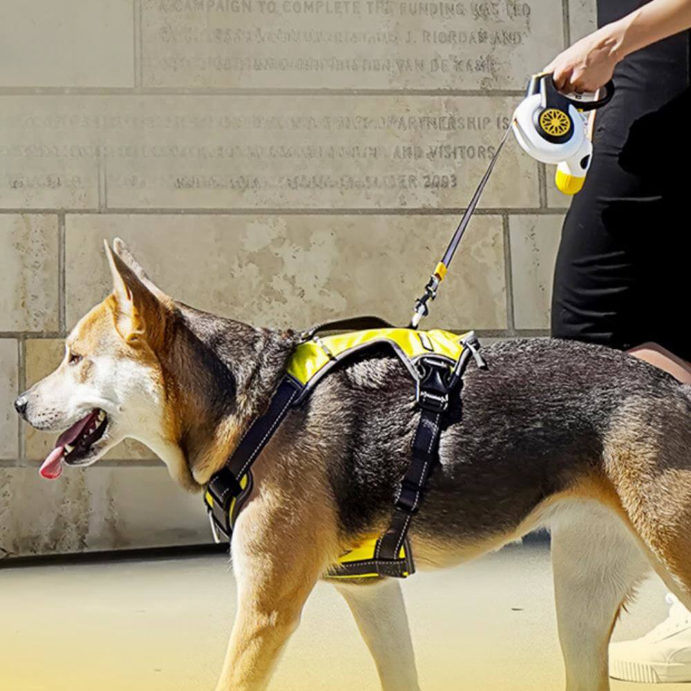 Correa para perros retráctil automática a prueba de explosiones para perros medianos y grandes