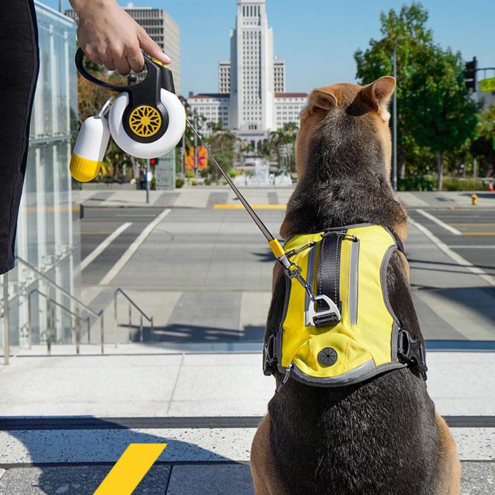 Correa para perros retráctil automática a prueba de explosiones para perros medianos y grandes