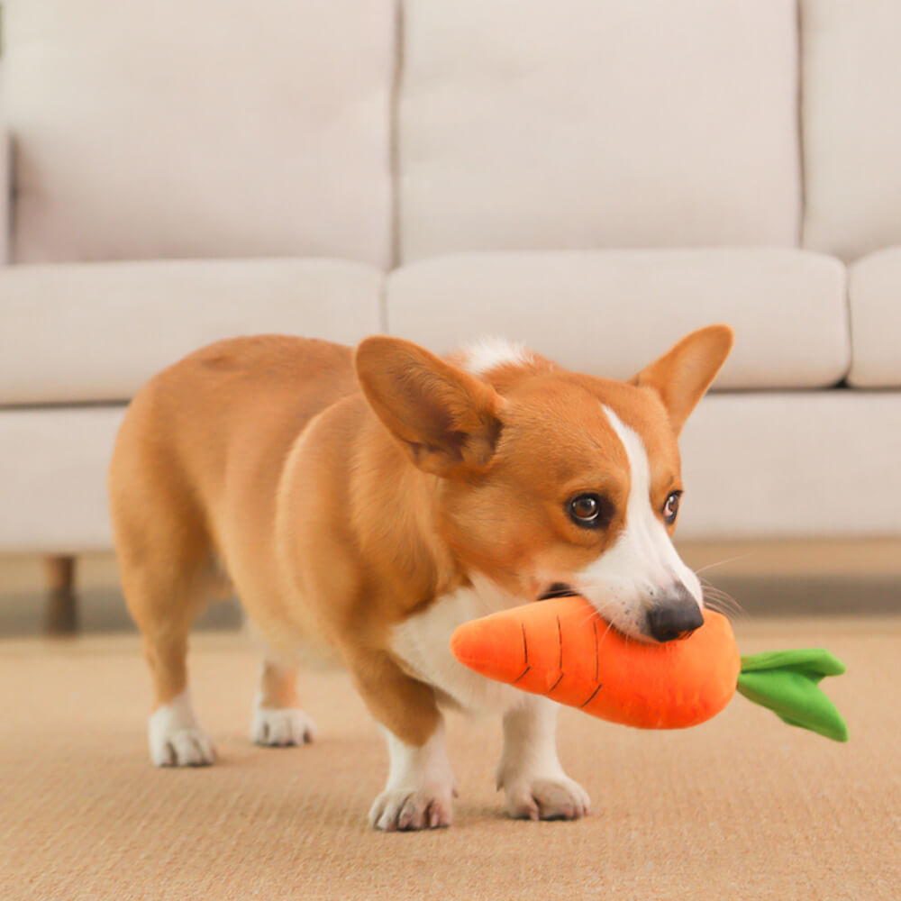 Jouet interactif pour chien en peluche grinçante de carotte