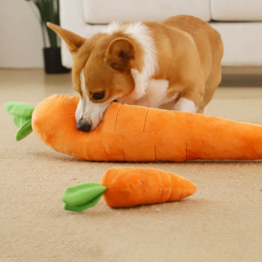 Jouet interactif en peluche grinçant pour chien, carotte