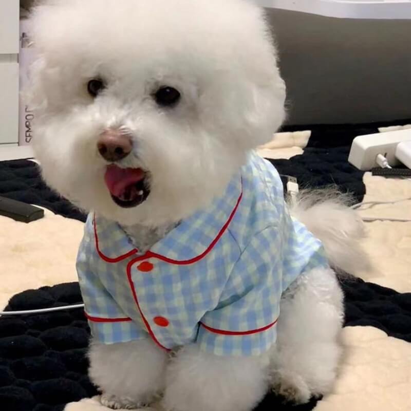 Ensemble pyjama chic à carreaux assortis, vêtements pour chien et propriétaire