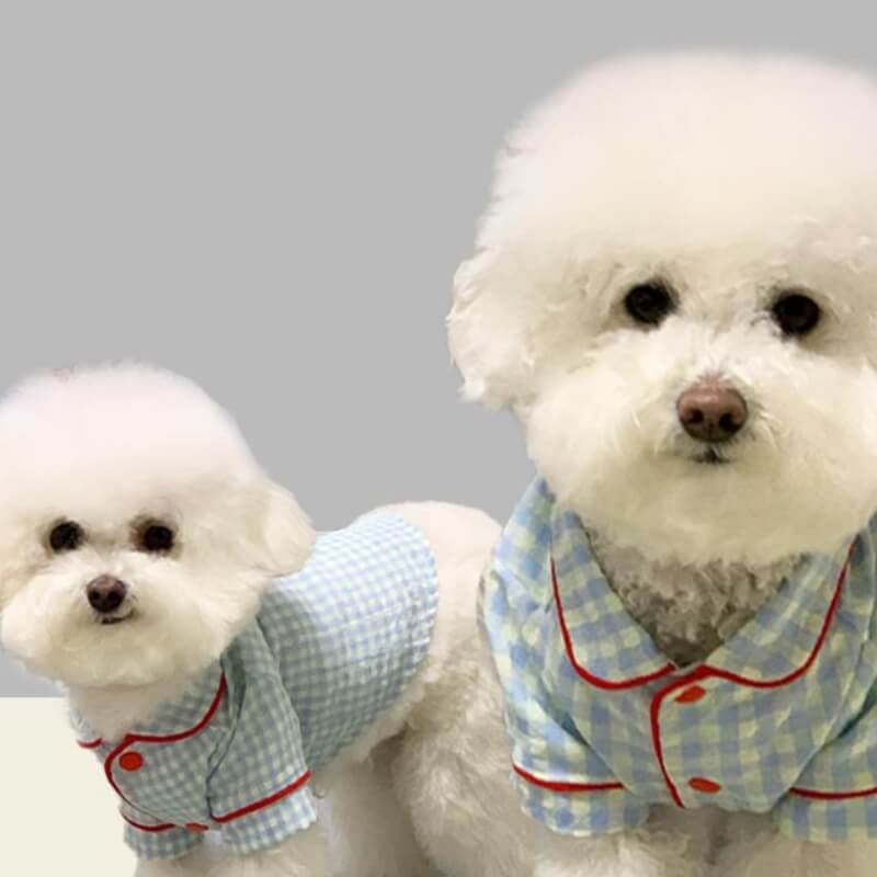 Ensemble pyjama chic à carreaux assortis, vêtements pour chien et propriétaire