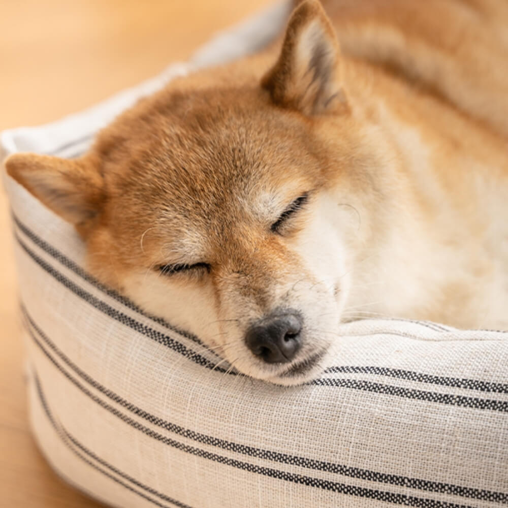 Atmungsaktives Hundebett mit klassischen Streifen für alle Jahreszeiten