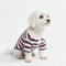 Classic Striped Polo Dog Shirts