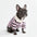 Classic Striped Polo Dog Shirts