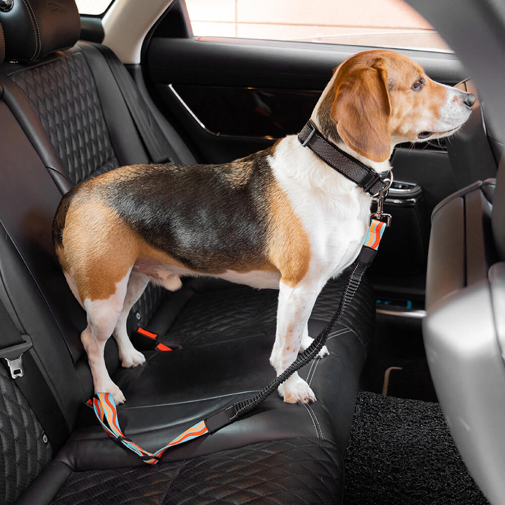 Cinturón de seguridad de coche ajustable de los accesorios del perro fresco del amortiguador colorido