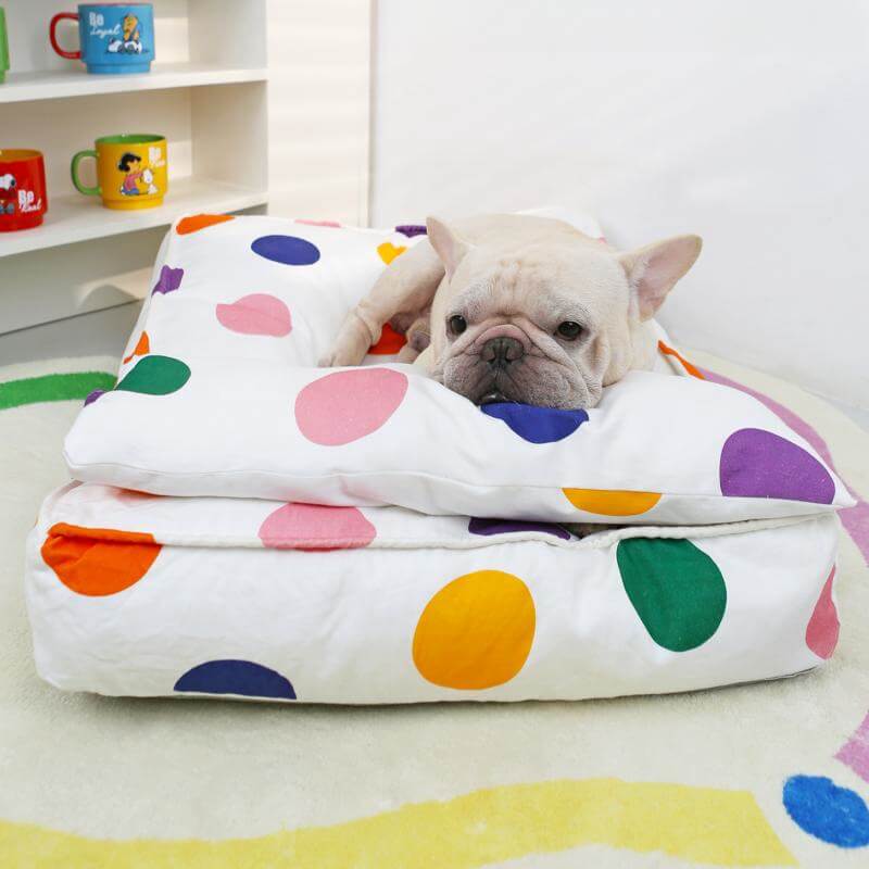 Colorful Dot Cozy And Playful Pillow Bed Calming Dog Bed