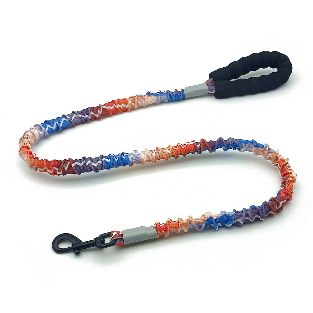 <tc>Color</tc>Correa y collar para perros grandes con cuerda de tracción de alta elasticidad