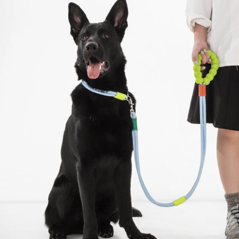 Correa para pasear para perros trenzada de doble sección Cotton Candy