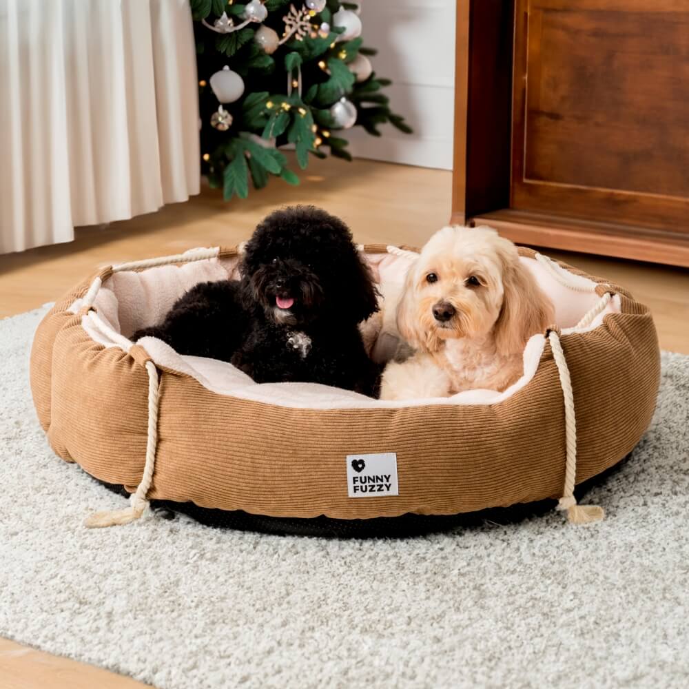 Cama para mascotas con cuerda para tirar, ajustable, resistente a mordeduras, para perros y gatos