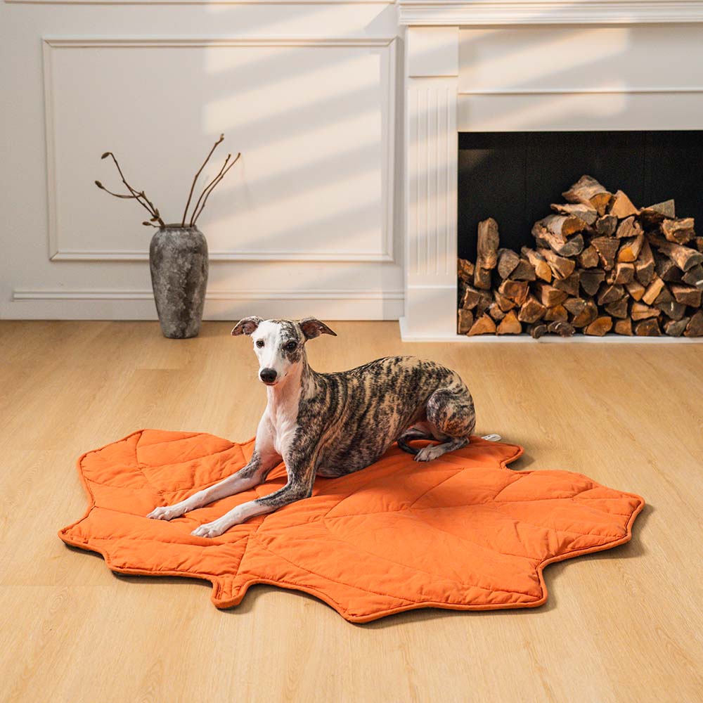 Couverture pour chien en forme de feuille