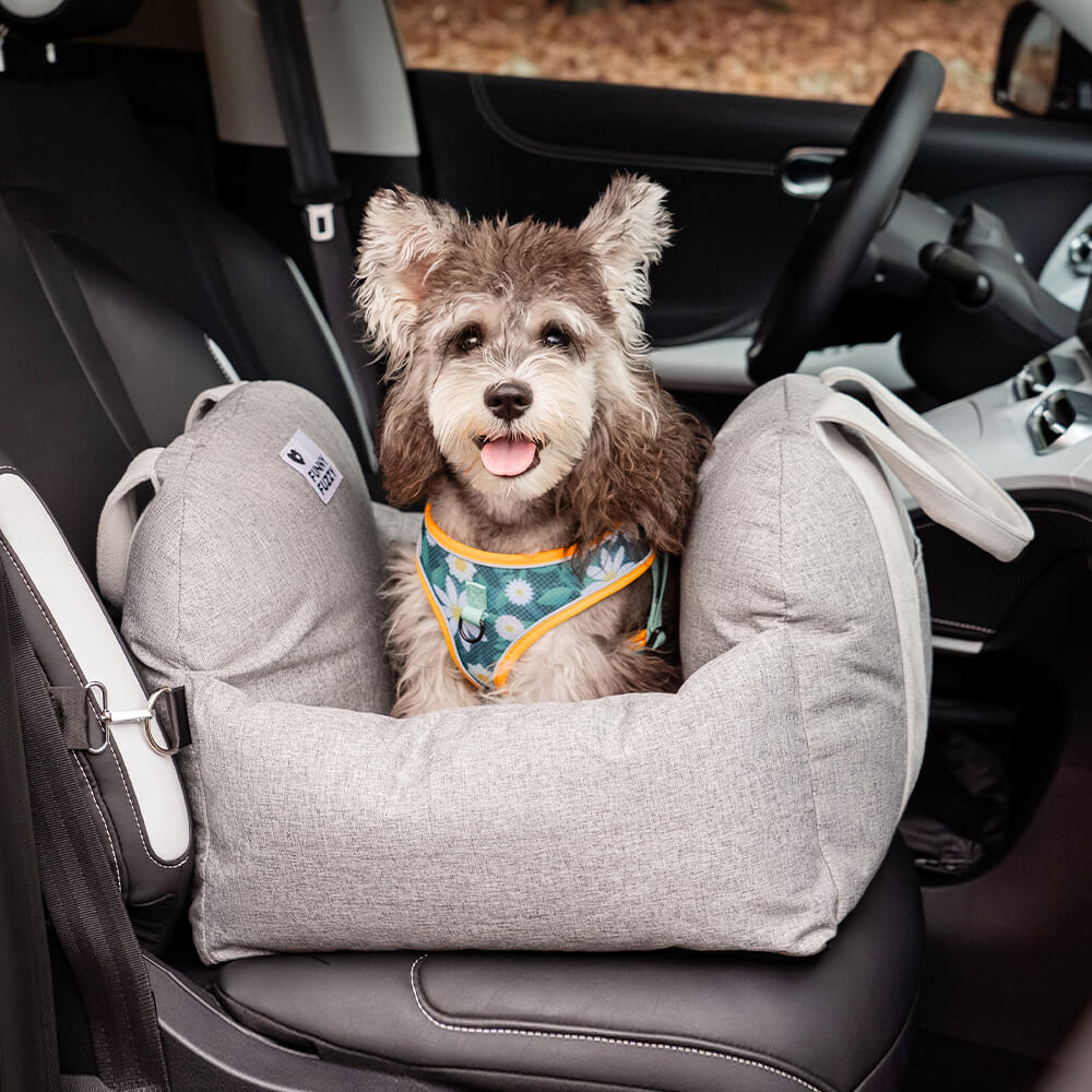 Letto per seggiolino auto per cani - Prima classe