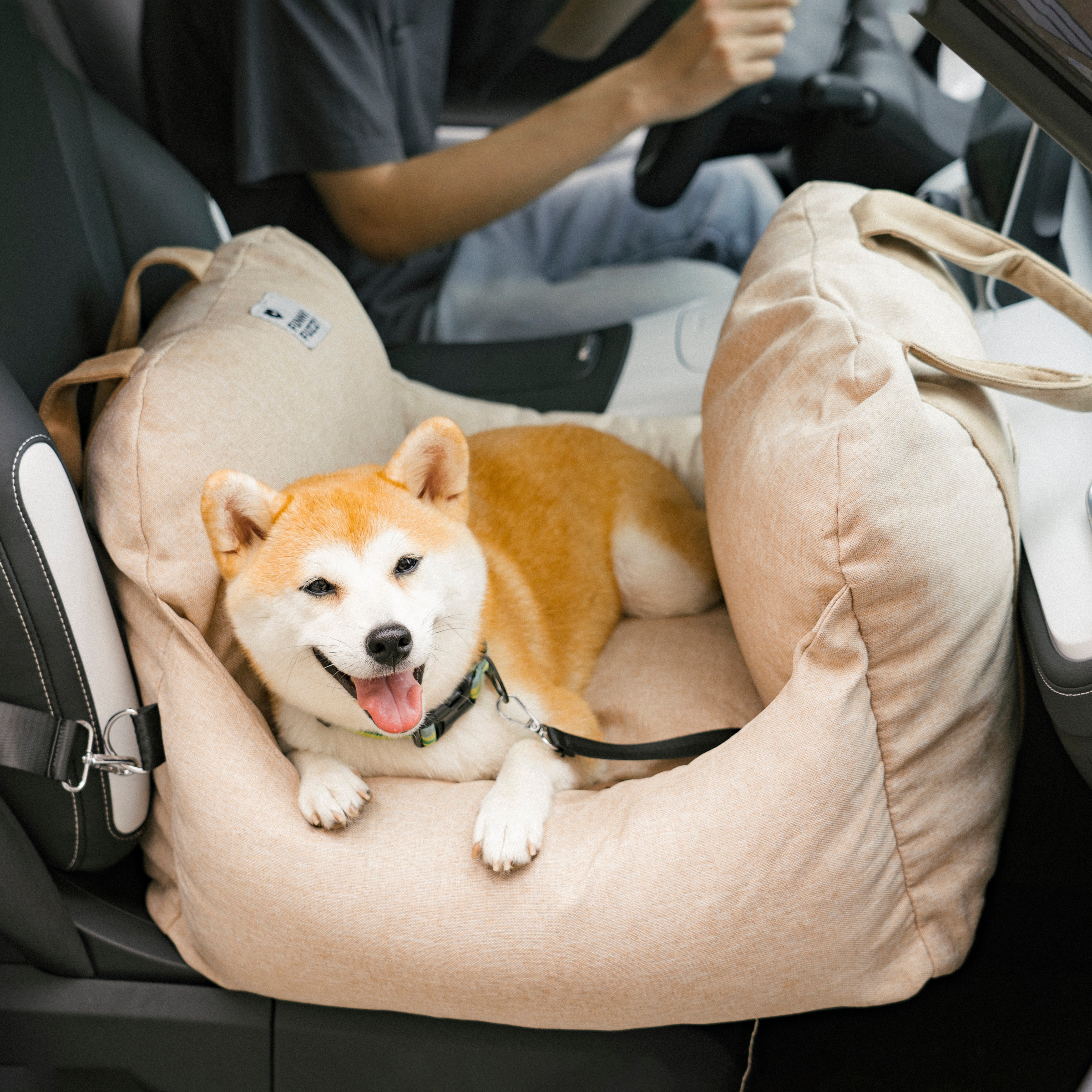 Lit de siège d'auto pour chien - Première classe