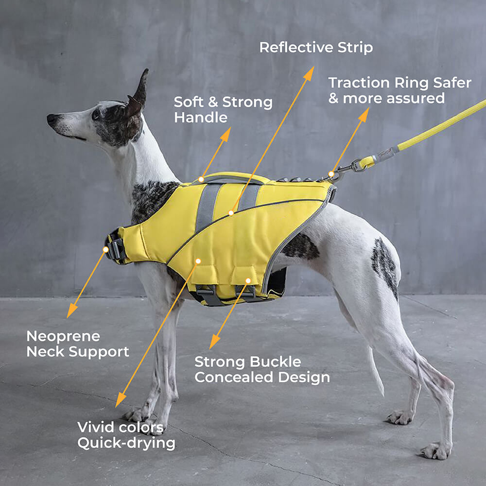 Gilet de sauvetage pour chien - Sauveteur