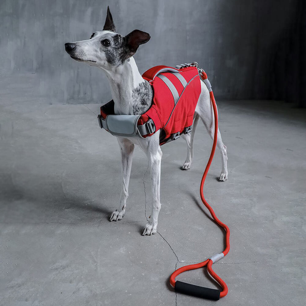 Gilet de sauvetage pour chien - Sauveteur