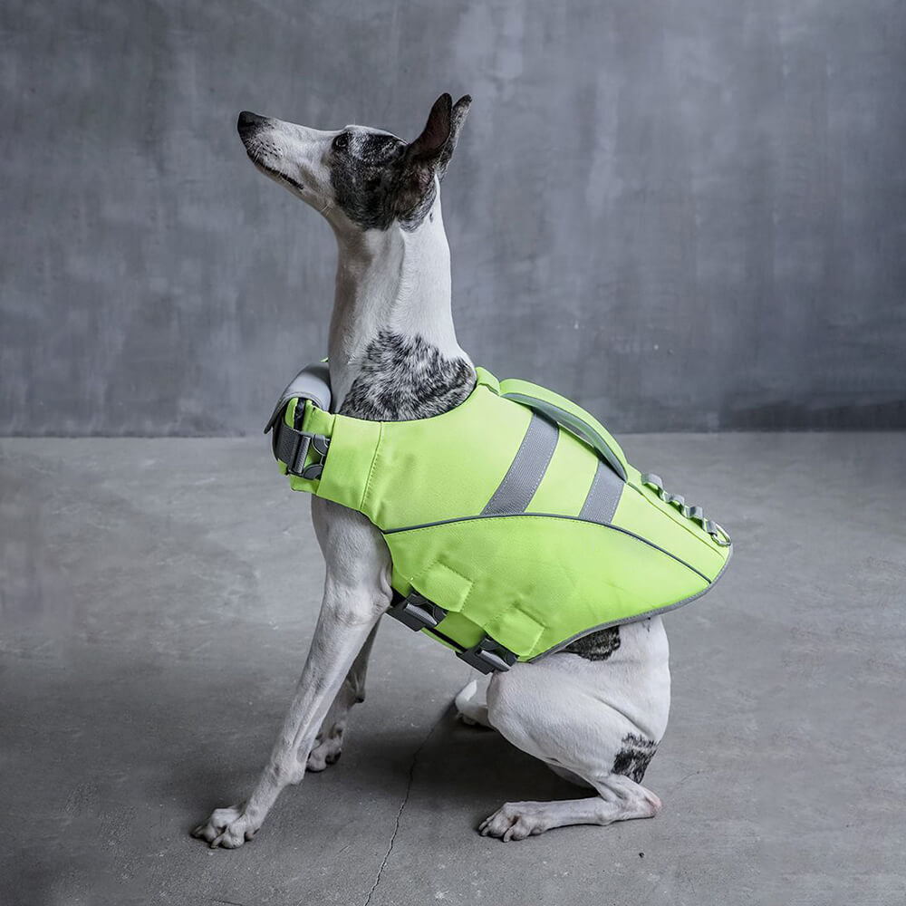 Gilet de sauvetage pour chien - Sauveteur