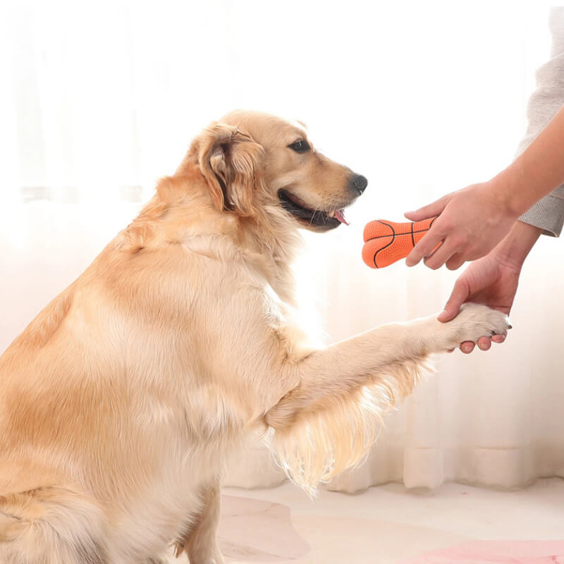 Langlebiges, quietschendes Knochenspielzeug, Kauspielzeug für Hunde