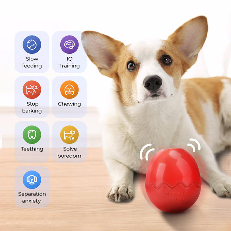 Jouets à mâcher pour chien à alimentation lente en forme d'oeuf jouets interactifs pour chien