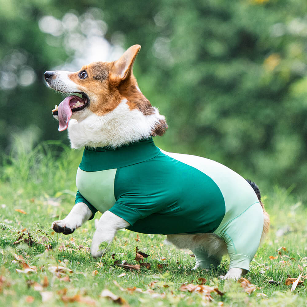 Mono para perro elástico extra grande con bloqueador solar, ropa refrescante para perros