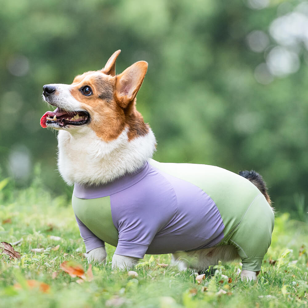 Extra großer Stretch-Sonnenschutz-Einteiler für Hunde, kühlende Hundekleidung