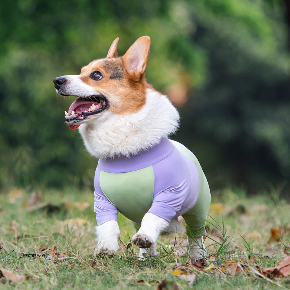 Mono para perro elástico extra grande con bloqueador solar, ropa refrescante para perros