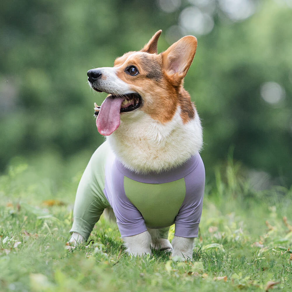 Mono para perro elástico extra grande con bloqueador solar, ropa refrescante para perros