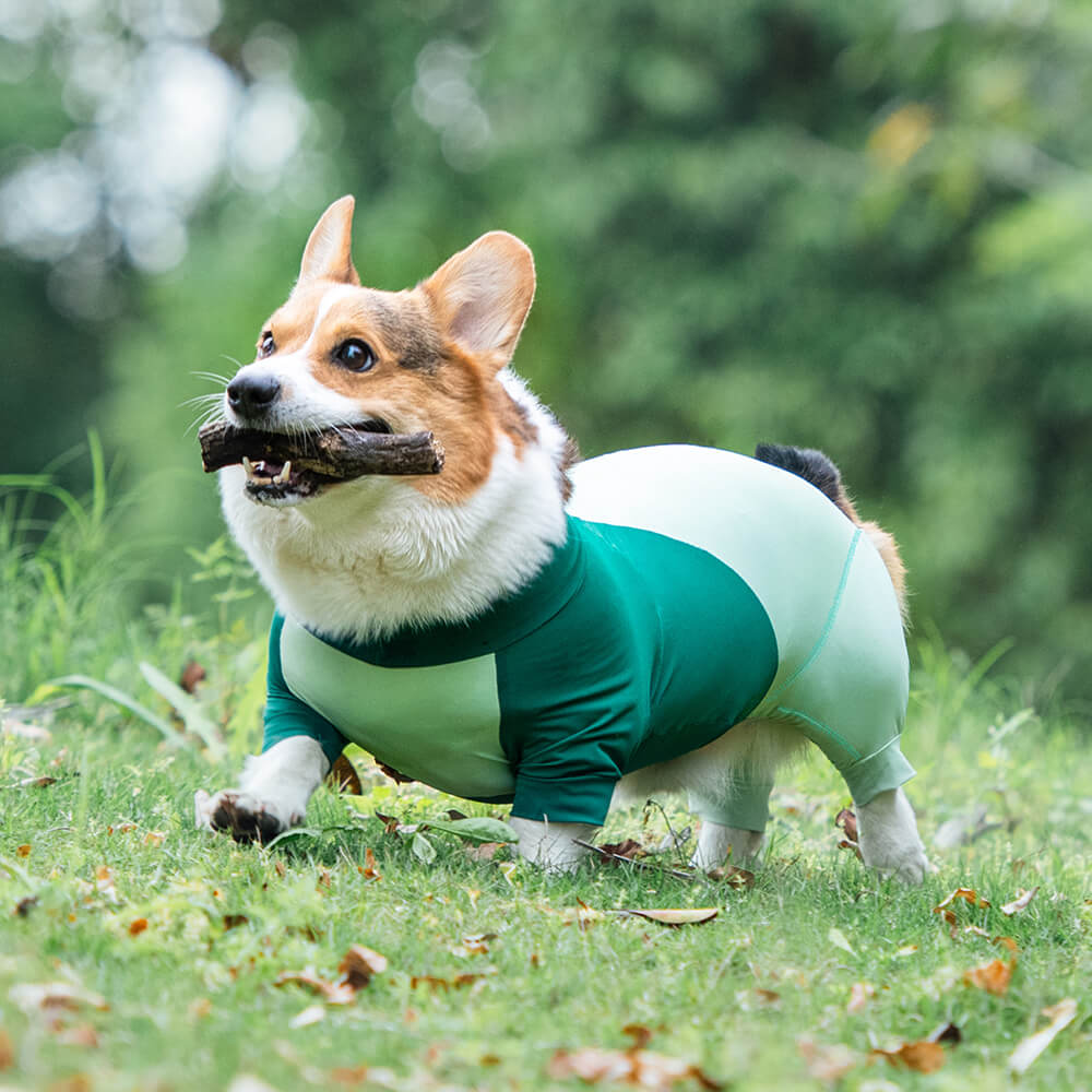 Extra großer Stretch-Sonnenschutz-Einteiler für Hunde, kühlende Hundekleidung