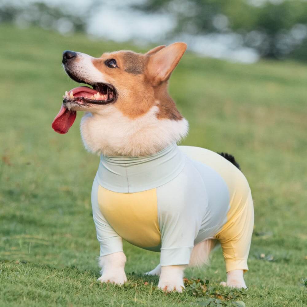 Mono para perro elástico extra grande con bloqueador solar, ropa refrescante para perros