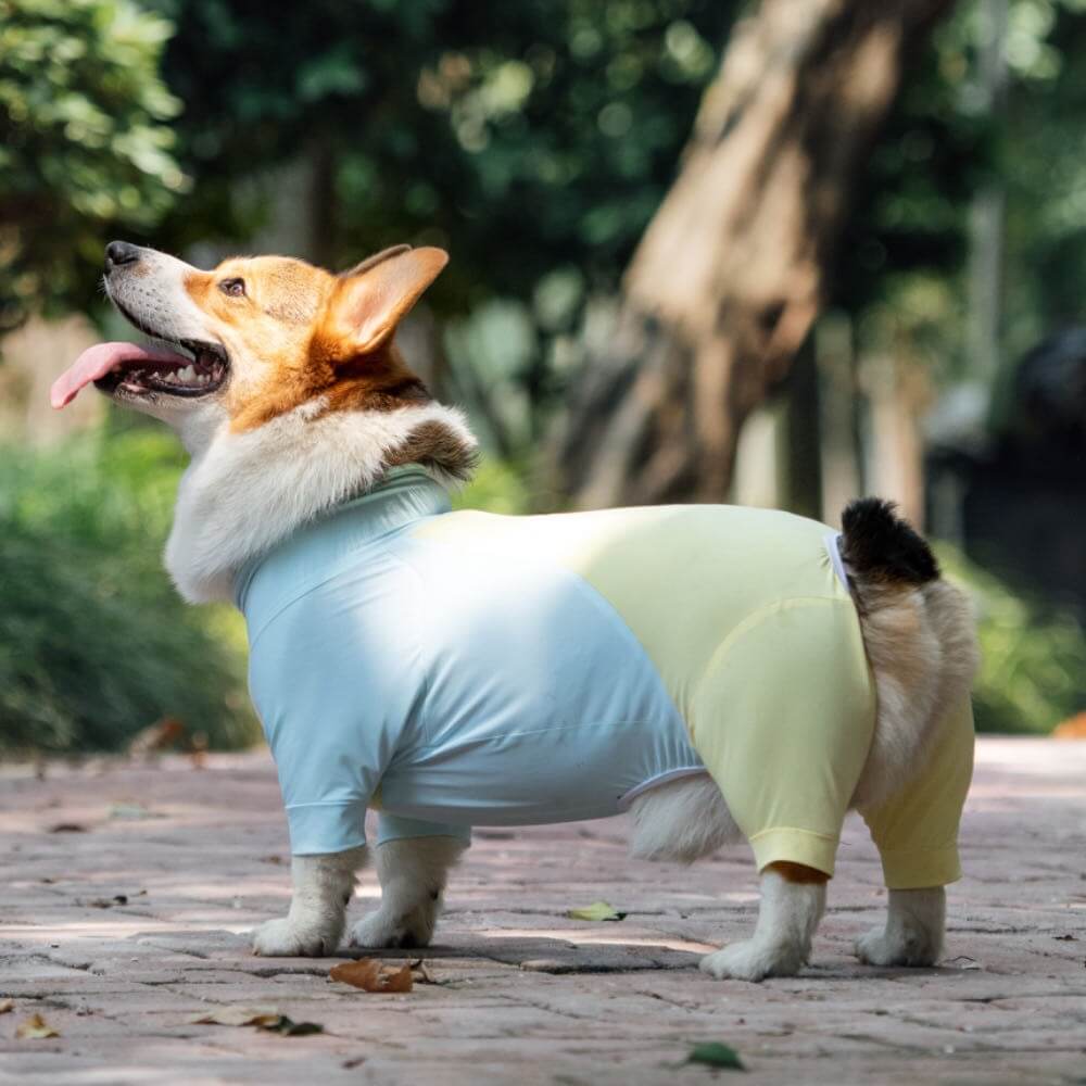 Vêtements pour chien rafraîchissants avec protection solaire extra large et extensible