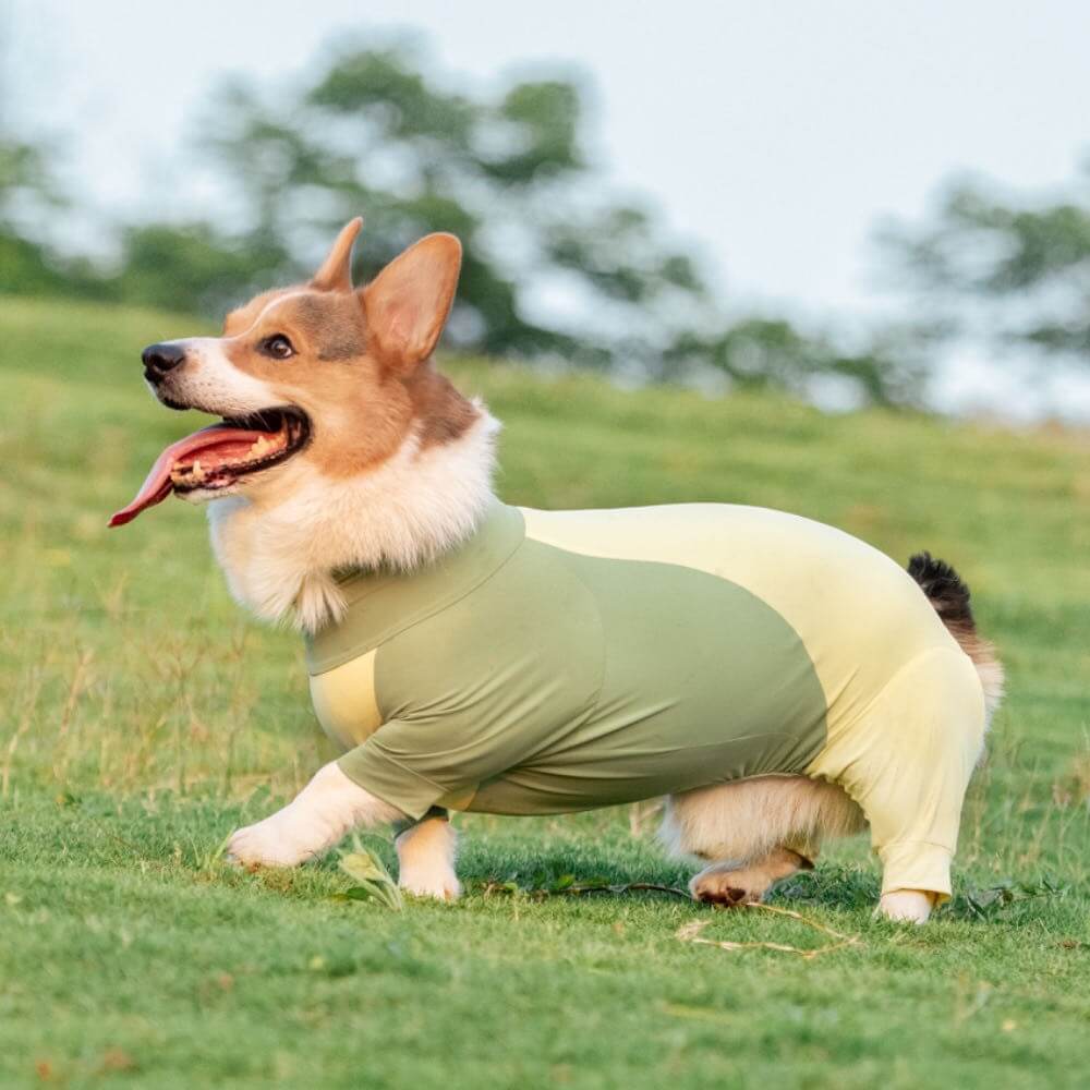 Extra großer Stretch-Sonnenschutz-Einteiler für Hunde, kühlende Hundekleidung