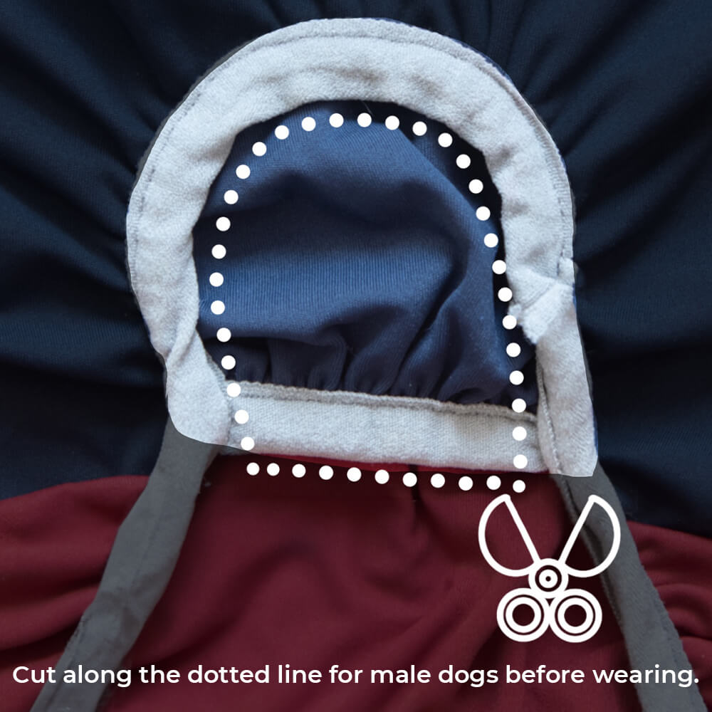 Vêtements pour chien rafraîchissants avec protection solaire extra large et extensible