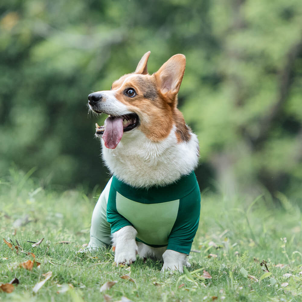 Mono para perro elástico extra grande con bloqueador solar, ropa refrescante para perros