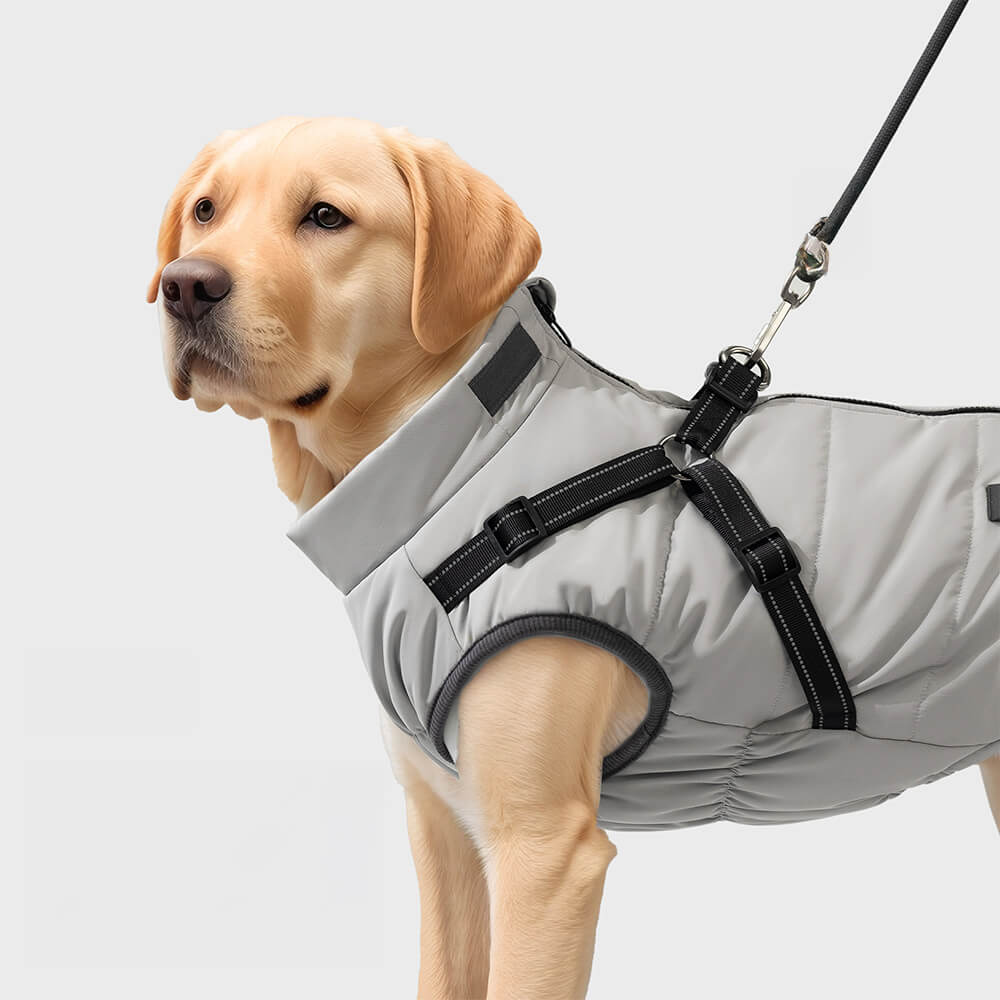 Veste de harnais pour chien extérieure chaude et imperméable réglable