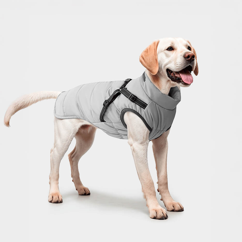 Verstellbare, wasserdichte, warme Outdoor-Hundegeschirrjacke