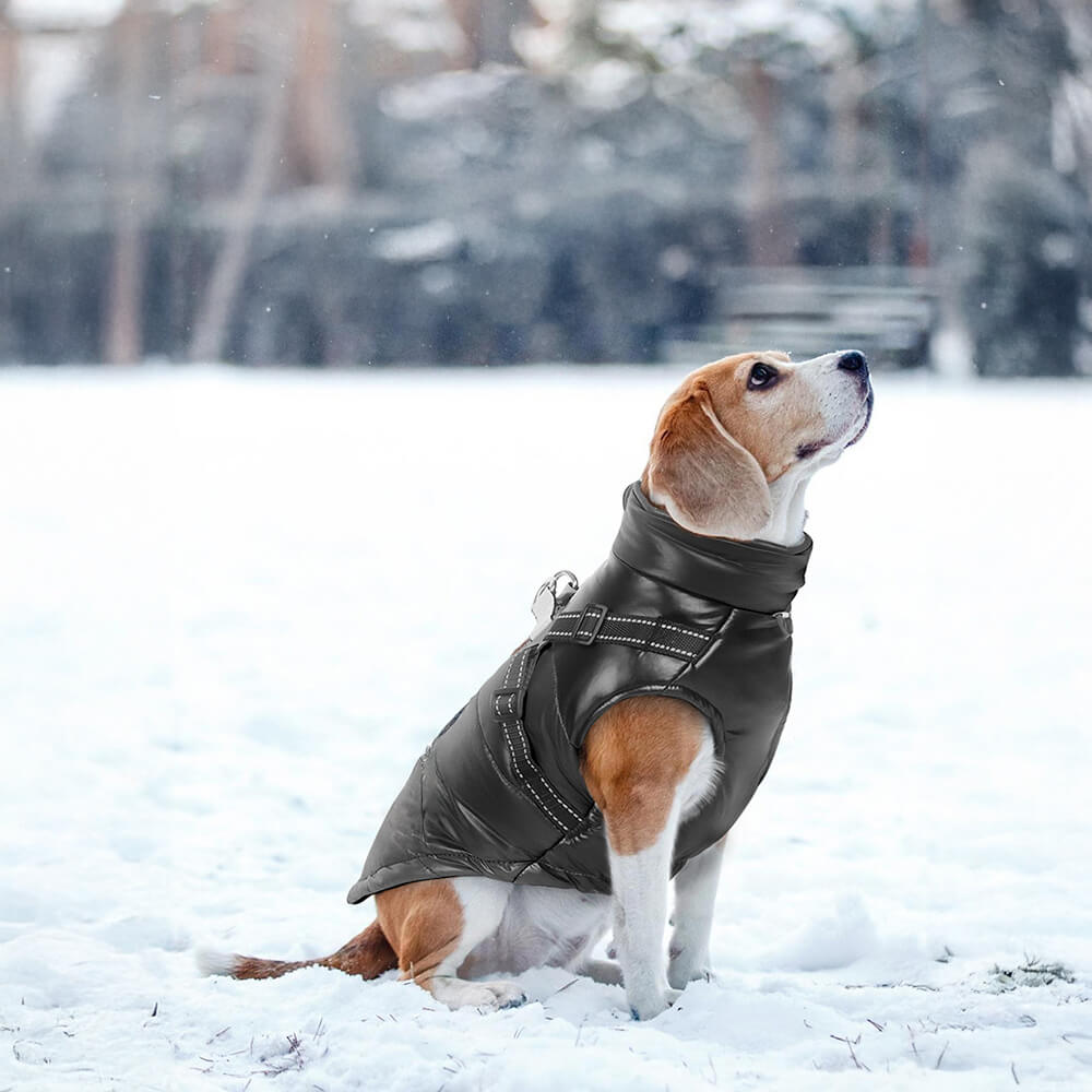 Schicke, reflektierende, wasserdichte, sichere, warme Hundejacke mit verstellbarer Passform