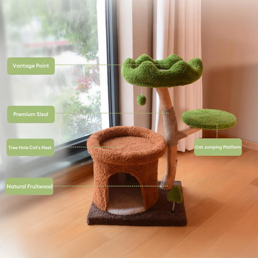 Forest-Inspired Tree Hollow Cat Cave Solid Wood Cat Tree